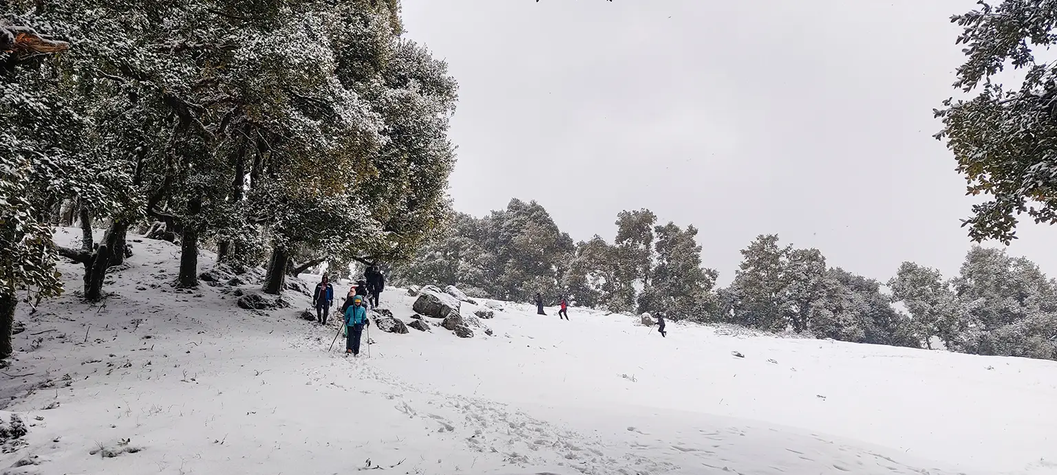 Nag Tibba Weekend Trek